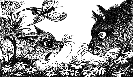 Иллюстрация к книге — Пророчество Синей Звезды. Начало [i_020.png]