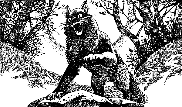 Иллюстрация к книге — Пророчество Синей Звезды. Выбор [i_007.png]