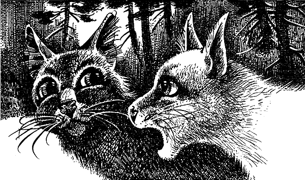 Иллюстрация к книге — Пророчество Синей Звезды. Выбор [i_008.png]