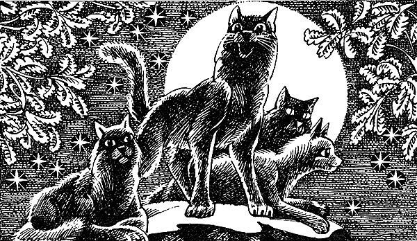 Иллюстрация к книге — Пророчество Синей Звезды. Выбор [i_013.png]