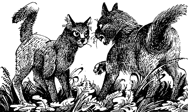 Иллюстрация к книге — Пророчество Синей Звезды. Выбор [i_014.png]