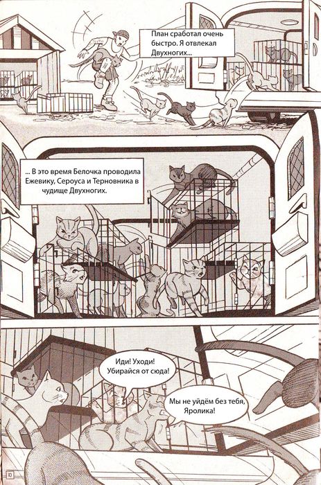 Иллюстрация к книге — Манга «Потеряный воин» [04.jpg]