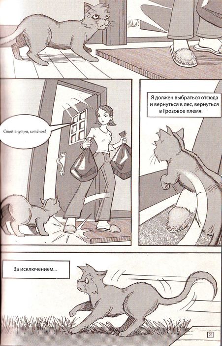 Иллюстрация к книге — Манга «Потеряный воин» [19.jpg]