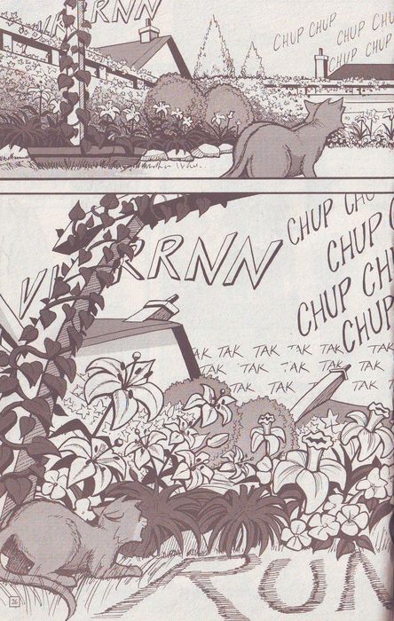 Иллюстрация к книге — Манга «Потеряный воин» [20.jpg]