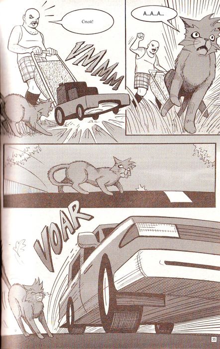 Иллюстрация к книге — Манга «Потеряный воин» [29.jpg]