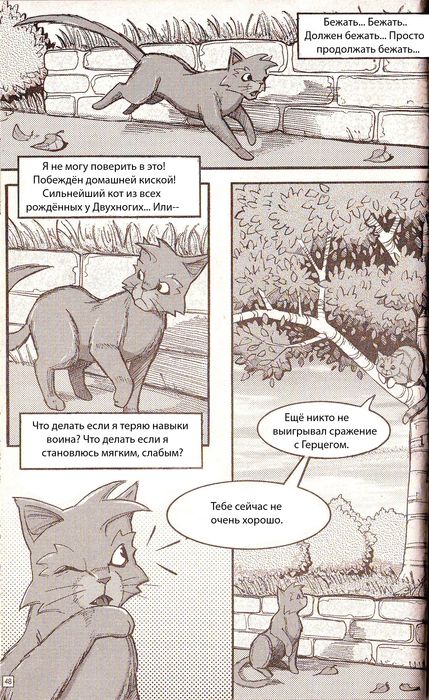 Иллюстрация к книге — Манга «Потеряный воин» [42.jpg]