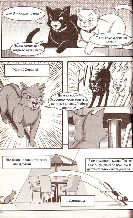 Иллюстрация к книге — Манга «Потеряный воин» [50.jpg]