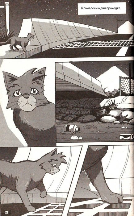 Иллюстрация к книге — Манга «Потеряный воин» [78.jpg]