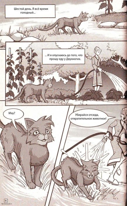 Иллюстрация к книге — Манга «Потеряный воин» [80.jpg]