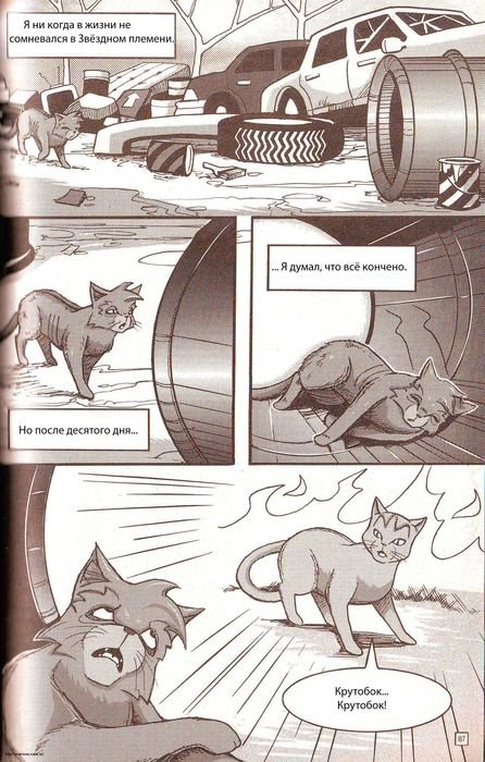 Иллюстрация к книге — Манга «Потеряный воин» [81.jpg]