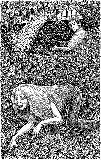 Иллюстрация к книге — Чудовище с улицы Розы [ris2.png]