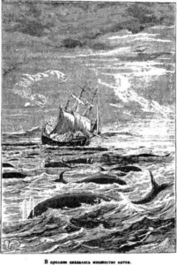 Иллюстрация к книге — Открытие Земли [pic_156.jpg]