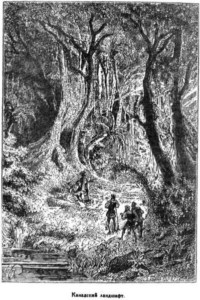 Иллюстрация к книге — Открытие Земли [pic_173.jpg]