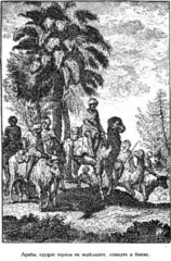 Иллюстрация к книге — Мореплаватели XVIII века [pic_107.jpg]