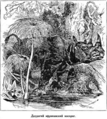 Иллюстрация к книге — Мореплаватели XVIII века [pic_111.jpg]