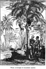 Иллюстрация к книге — Мореплаватели XVIII века [pic_116.jpg]