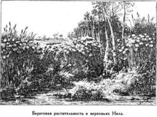 Иллюстрация к книге — Мореплаватели XVIII века [pic_120.jpg]