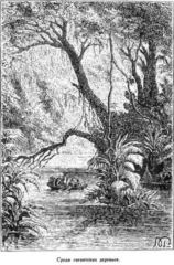 Иллюстрация к книге — Мореплаватели XVIII века [pic_139.jpg]