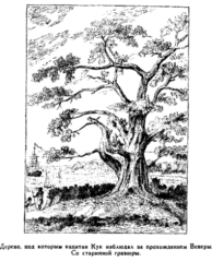 Иллюстрация к книге — Мореплаватели XVIII века [pic_25.png]