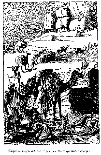 Иллюстрация к книге — Путешественники XIX века [pic_18.png]