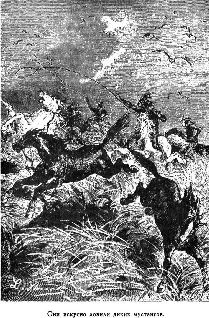 Иллюстрация к книге — Путешественники XIX века [pic_44.jpg]