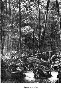 Иллюстрация к книге — Путешественники XIX века [pic_71.jpg]