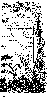 Иллюстрация к книге — Путешественники XIX века [pic_77.png]
