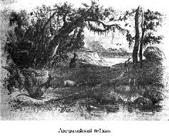 Иллюстрация к книге — Путешественники XIX века [pic_79.jpg]