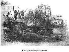 Иллюстрация к книге — Путешественники XIX века [pic_81.jpg]