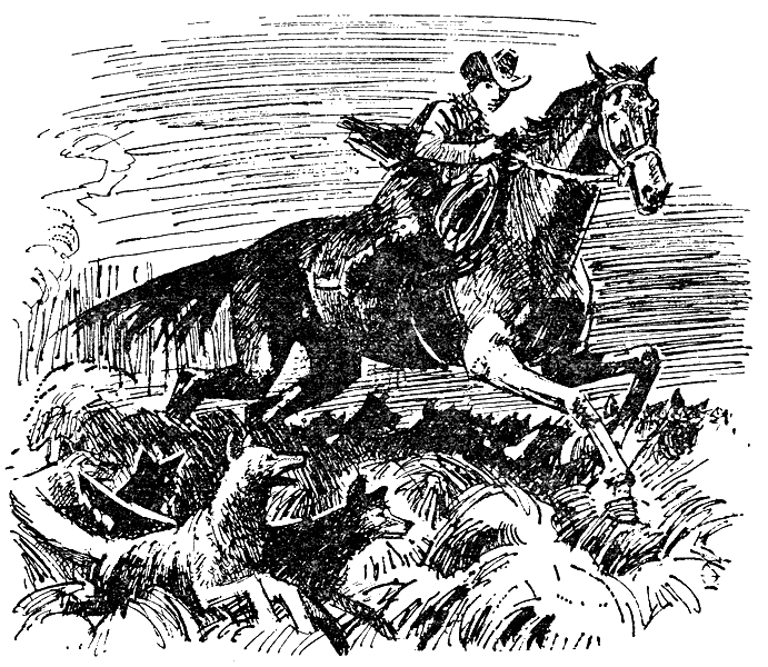 Иллюстрация к книге — Дети Капитана Гранта [g13.png]