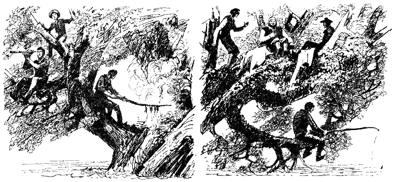 Иллюстрация к книге — Дети Капитана Гранта [g16.png]