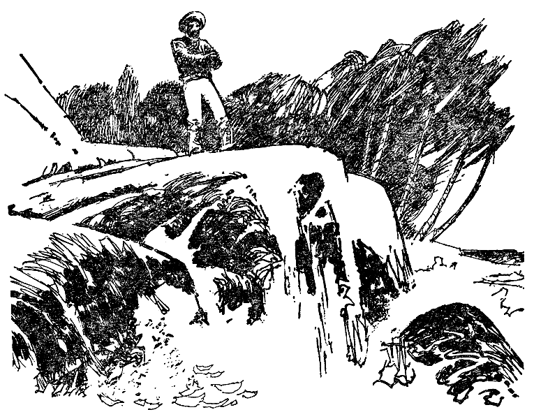 Иллюстрация к книге — Дети Капитана Гранта [g43.png]