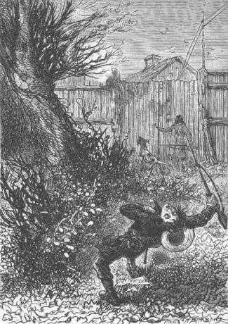 Иллюстрация к книге — Таинственный остров [_680.jpg]