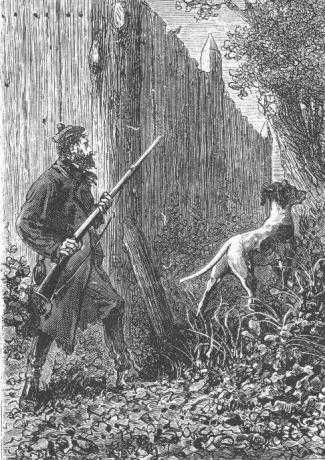 Иллюстрация к книге — Таинственный остров [_703.jpg]