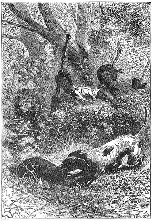 Иллюстрация к книге — Таинственный остров [p049.jpg]