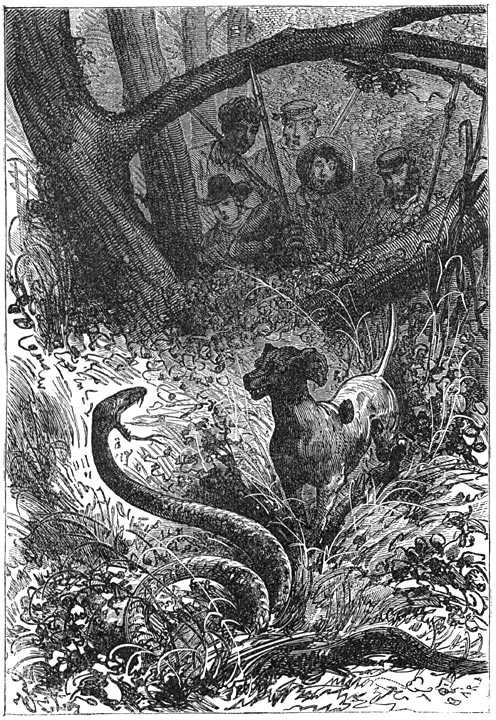 Иллюстрация к книге — Таинственный остров [p095.jpg]