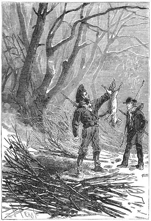 Иллюстрация к книге — Таинственный остров [p125.jpg]