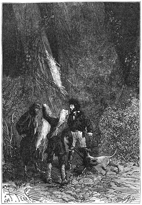 Иллюстрация к книге — Таинственный остров [p169.jpg]