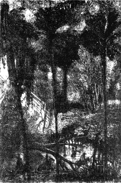 Иллюстрация к книге — С Земли на Луну прямым путем за 97 часов 20 минут [fig21.png]