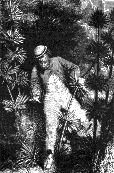 Иллюстрация к книге — С Земли на Луну прямым путем за 97 часов 20 минут [fig33.png]