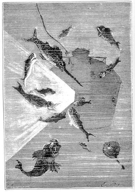 Иллюстрация к книге — Вокруг Луны [adl42.jpg]