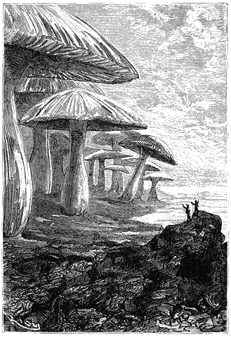 Иллюстрация к книге — Путешествие к центру Земли [p149.png]