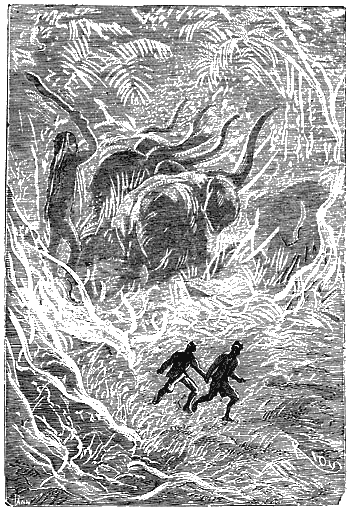 Иллюстрация к книге — Путешествие к центру Земли [p201.png]