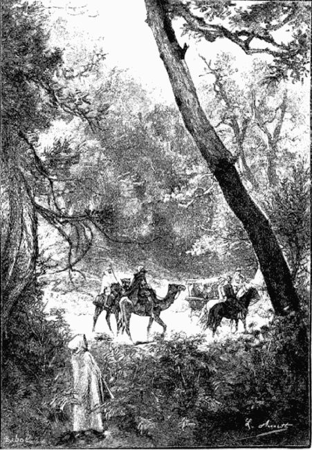 Иллюстрация к книге — Кловис Дардантор [i_035.png]