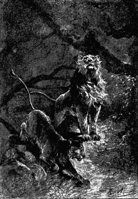 Иллюстрация к книге — Кловис Дардантор [i_043.png]