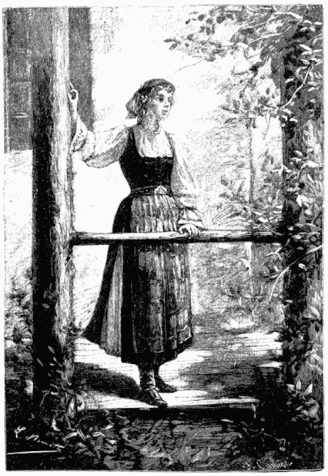 Иллюстрация к книге — Замок в Карпатах [i_009.png]