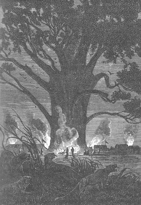 Иллюстрация к книге — Приключения троих русских и троих англичан [4_001.jpg]