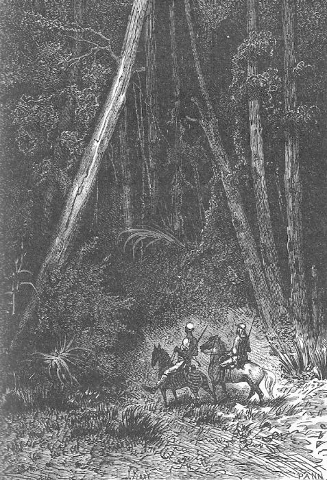 Иллюстрация к книге — Приключения троих русских и троих англичан [5_001.jpg]