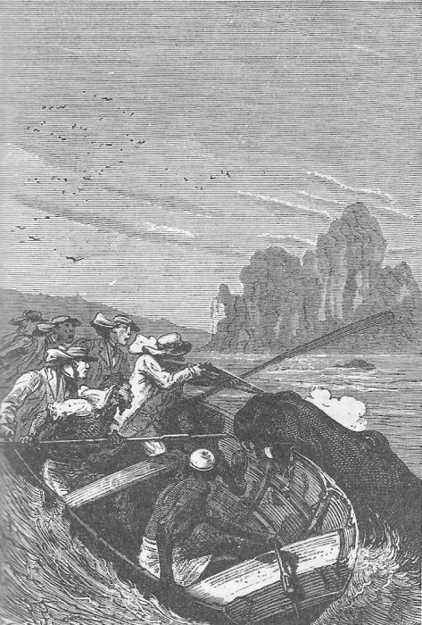 Иллюстрация к книге — Приключения троих русских и троих англичан [9_001.jpg]