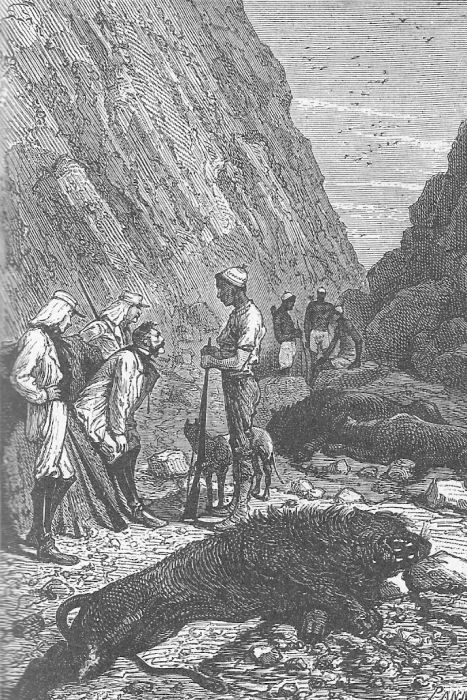 Иллюстрация к книге — Приключения троих русских и троих англичан [_029.jpg]